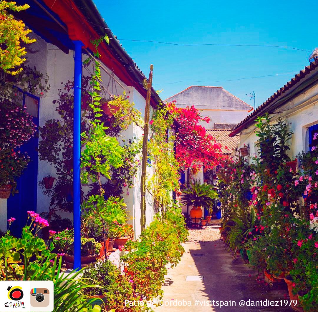 EspanaEnLatam's tweet photo. What are you doing from 2 to 15 May? Visiting the #patios in #Córdoba, of course! @CordobaESP @UNESCO https://t.co/69t7kAo6RV