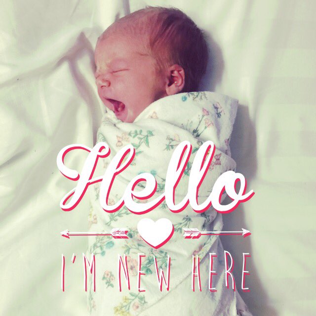jana_doucet's tweet photo. We got more than Easter eggs on Sunday! This little bundle arrived early Easter morning. Say hi to Rose! #bébérose https://t.co/s7eeoB8yXX