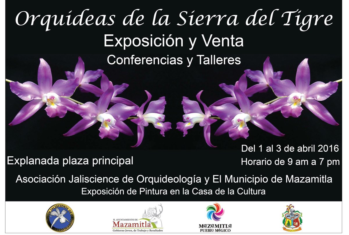 Ven y disfruta de esta inigualable exposición!!! #Vivelo #Mazamitla #PuebloMagico