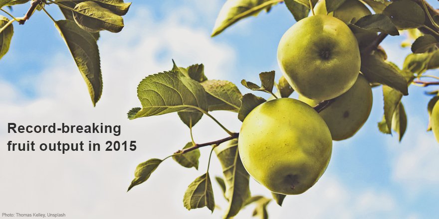 More #apples, #cherries, #blueberries and #apricots produced in #Slovenia. More on bit.ly/22JWSv4