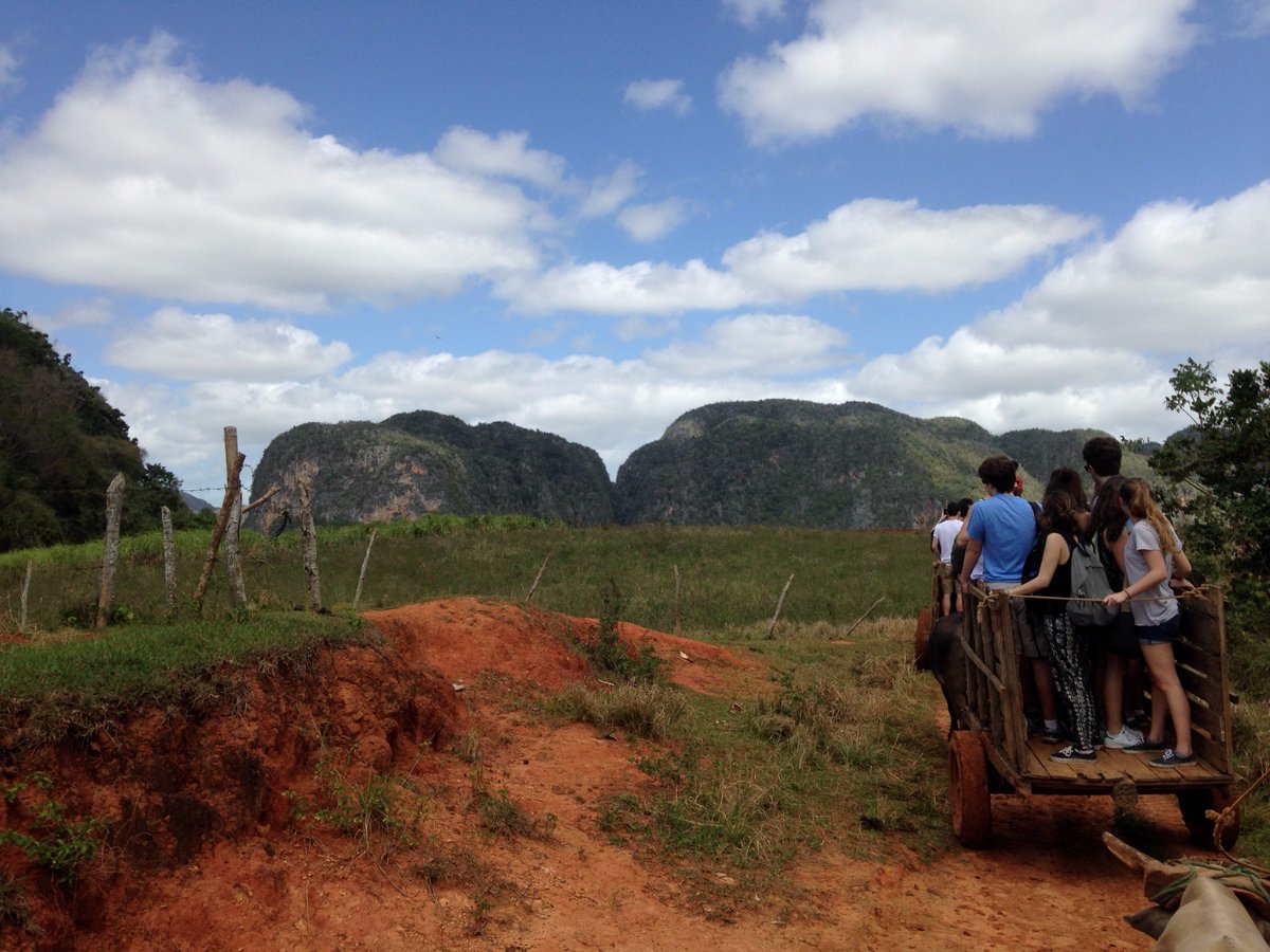 PAJmoments's tweet photo. La Vallée de Viñales, #Cuba ... Un moment sympa à partager en #colo pour les plus chanceux!
#PAJ https://t.co/11ygDL1FBe