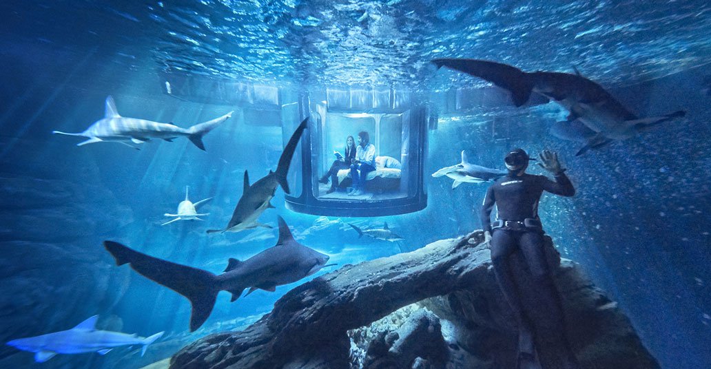 piweeFR's tweet photo. Airbnb vous propose de dormir avec les requins au beau milieu de l’Aquarium de Paris > https://t.co/PYGdGFUqDW https://t.co/giwYYEw7JW