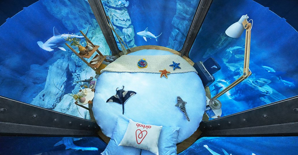 piweeFR's tweet photo. Airbnb vous propose de dormir avec les requins au beau milieu de l’Aquarium de Paris > https://t.co/PYGdGFUqDW https://t.co/giwYYEw7JW
