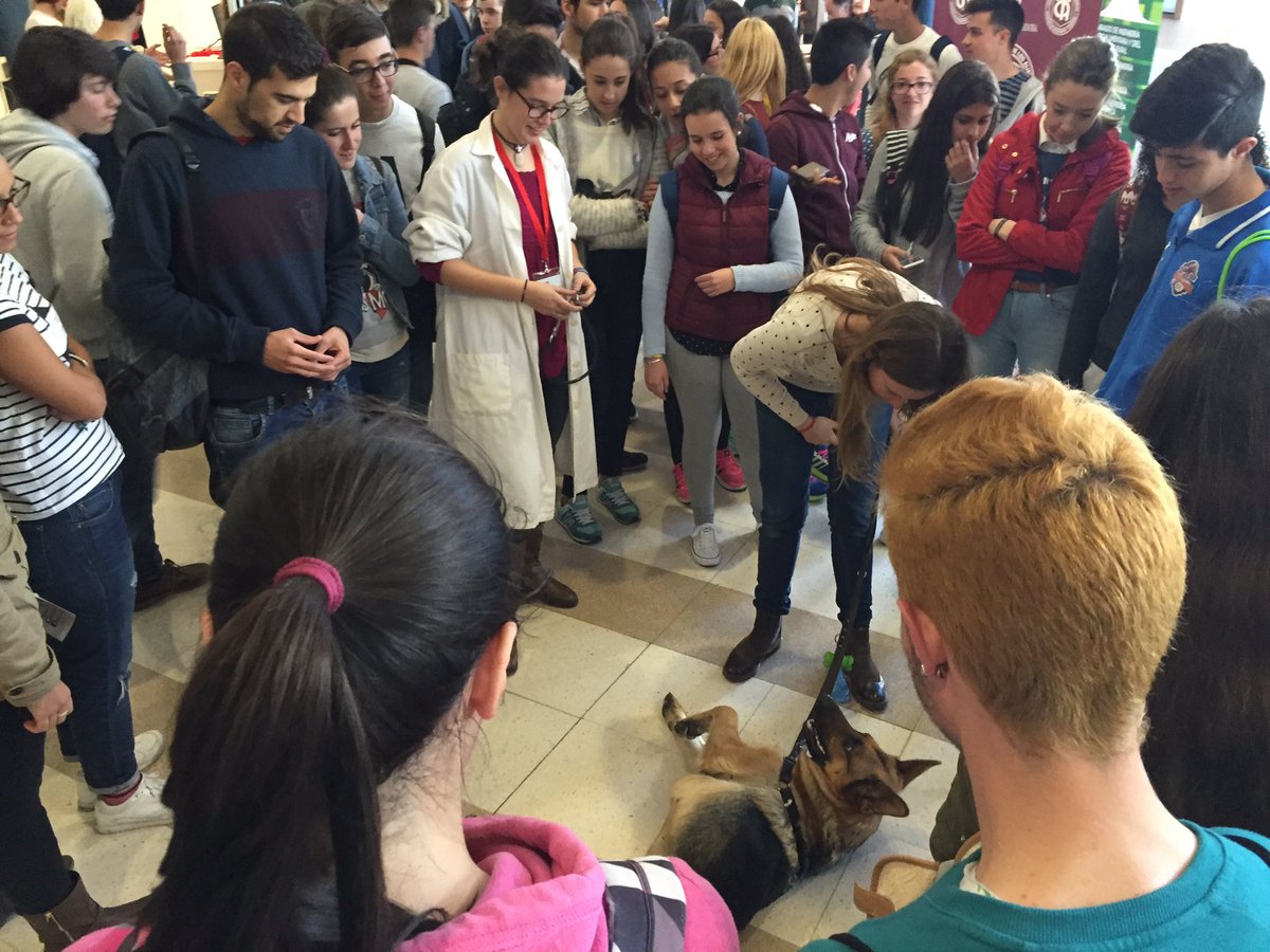 VeterinariaUCO's tweet photo. Fac de Veterinaria en las Jornadas #OrientaUco2016 @VeterinariaUCO @vestudiantesUCO @Univcordoba @CEVCordoba @CEUCO https://t.co/tTR9EW4k5W