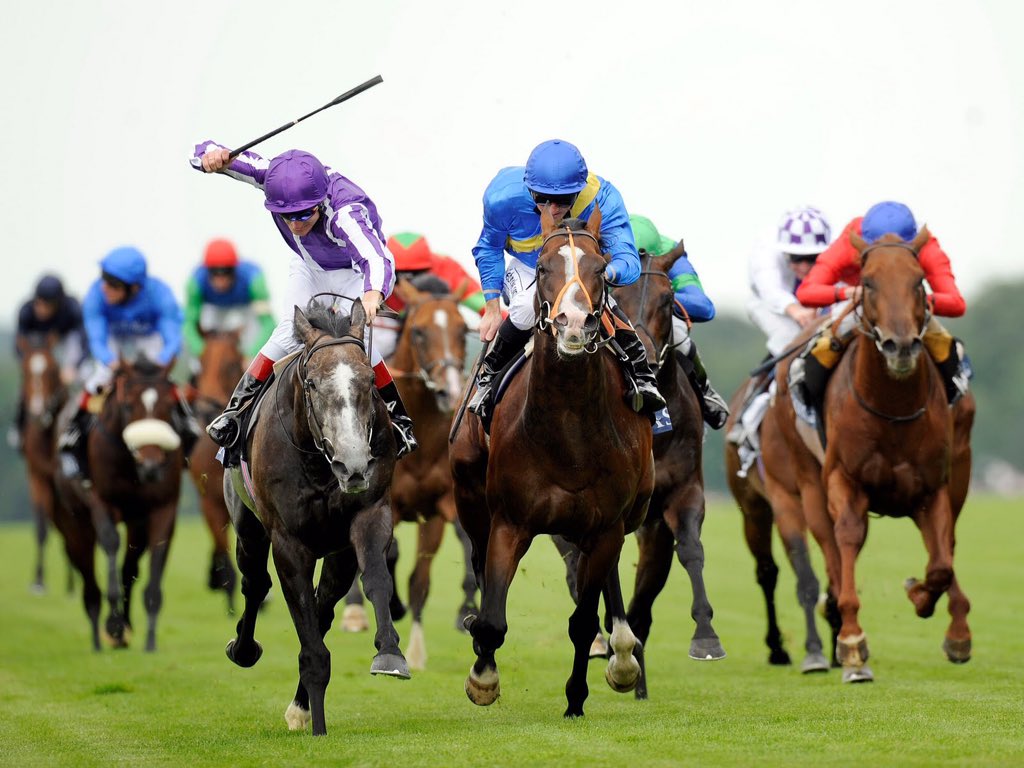 Lee Rawlings (@mywhoosh) on Twitter photo #CharityRaceNight <a href="/HareClaygate/">Hare and Hounds</a> Thurs 21 Apr 7pm in aid of <a href="/MomentumCharity/">Momentum Children's Charity</a> Read: #whatisaracenight ? #Claygate #CharityRaceNight <a href="/HareClaygate/">Hare and Hounds</a> Thurs 21 Apr 7pm in aid of <a href="/MomentumCharity/">Momentum Children's Charity</a> Read: #whatisaracenight ? #Claygate