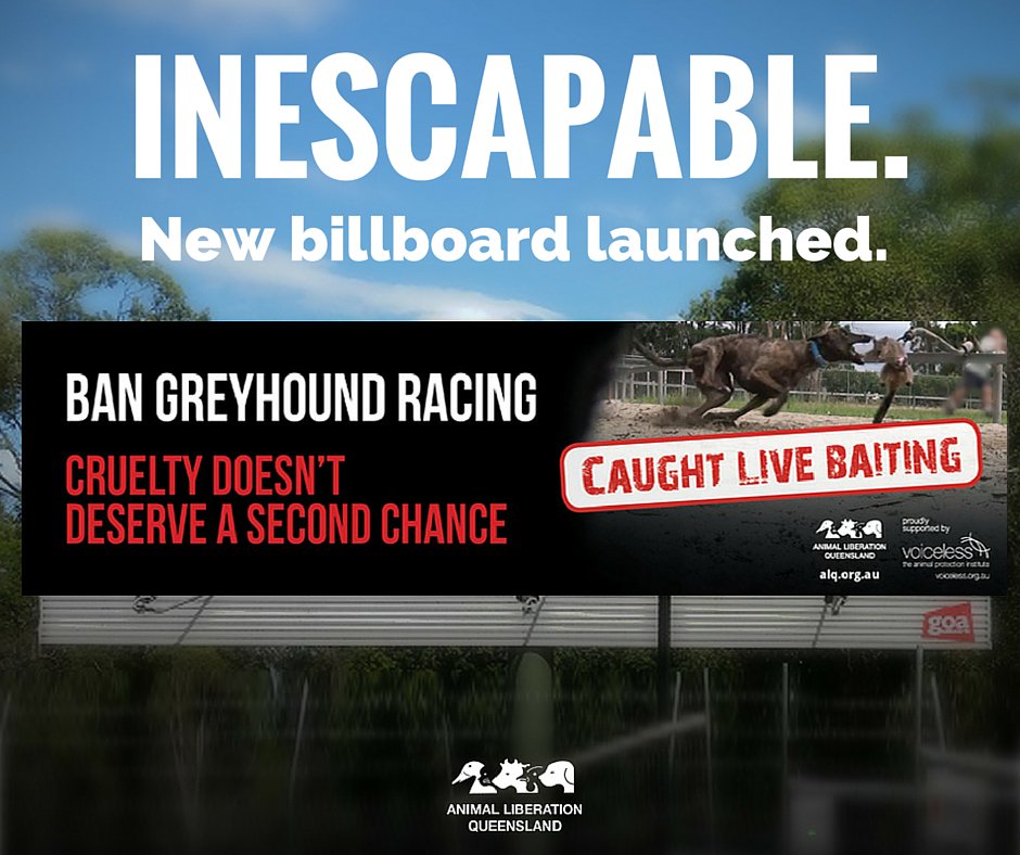 Animal Liberation on Twitter: "Have you seen our new #