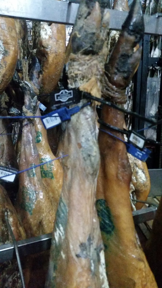 SaltYardJobs's tweet photo. An excitinig day in Extremadura, visiting Senorio de Montanera: can't get enough Iberico de Bellota! @SaltYardGroup https://t.co/ug3lPPN6LU