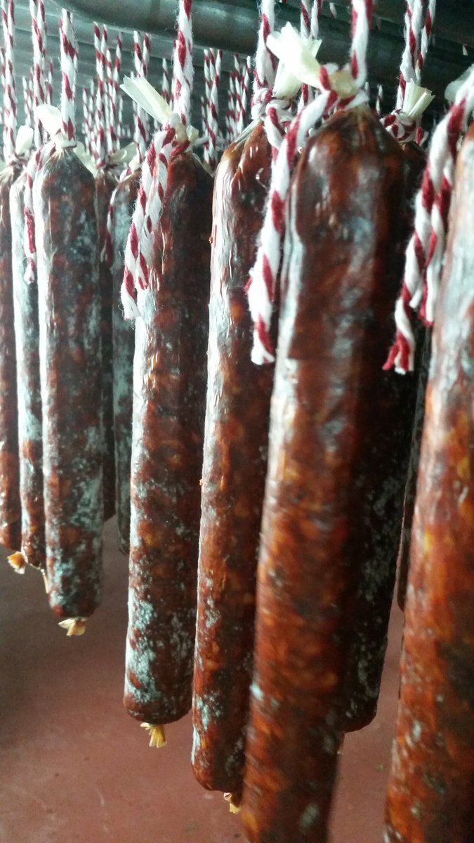 SaltYardJobs's tweet photo. An excitinig day in Extremadura, visiting Senorio de Montanera: can't get enough Iberico de Bellota! @SaltYardGroup https://t.co/ug3lPPN6LU