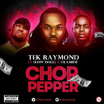 No1soundltd's tweet photo. Chop Pepper by @tekraymond1 Ft @iamslowdog and @olamide_YBNL https://t.co/79O3Iv7lwl @MTNMusicPlus https://t.co/2lTfl16hcR