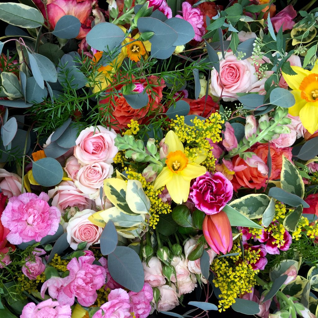 RepeatRoses's tweet photo. Petal power. Repurposing in progress: https://t.co/OirYjXFrxM https://t.co/hOn7YyPcB3