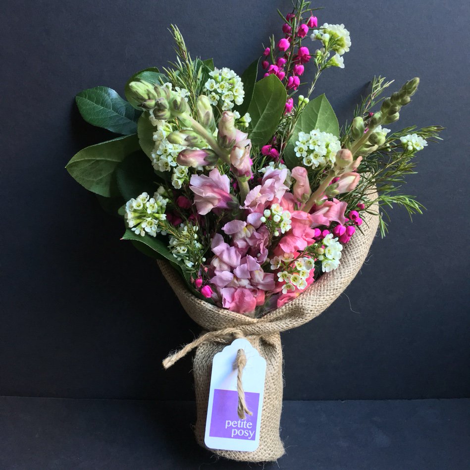petiteposyny's tweet photo. Today's Posy: Boronia, Snap Dragons and Wax Flower with Lemon Leaf F... #flowers #flower  https://t.co/l9VC5vNuSr https://t.co/jp6bE9H6x2