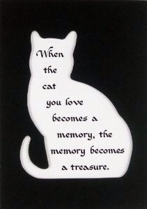 LoganKittyCat's tweet photo. We miss Logan! "Not all treasure is silver &amp; gold" #PetCancerAwareness #PetCancer #RIP #CancerSucks #CancerBites https://t.co/MfxMvTMkAs