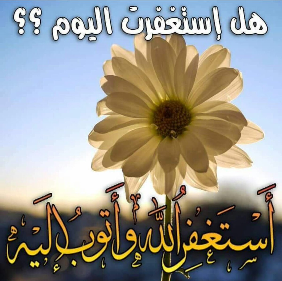 استغفر الله الذي لااله الا هو الحي القيوم واتوب اليه 🍁