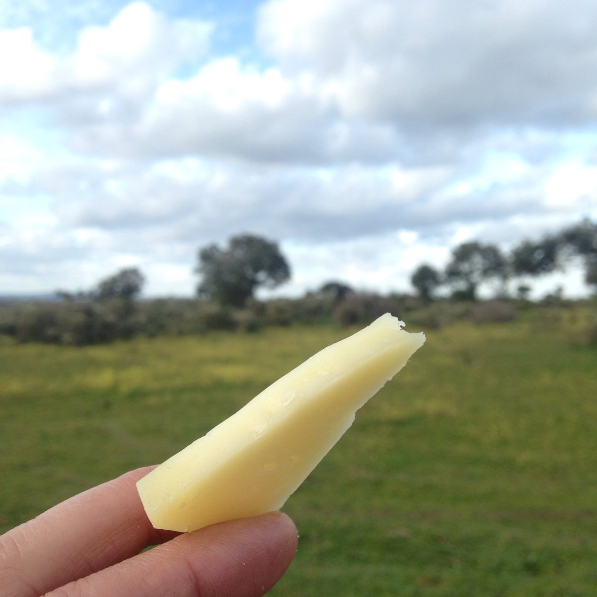 Pocos placeres al nivel de tomar un trozo de #queso en el campo.
¡Disfrutad de este martes de Pascua! #Salamanca