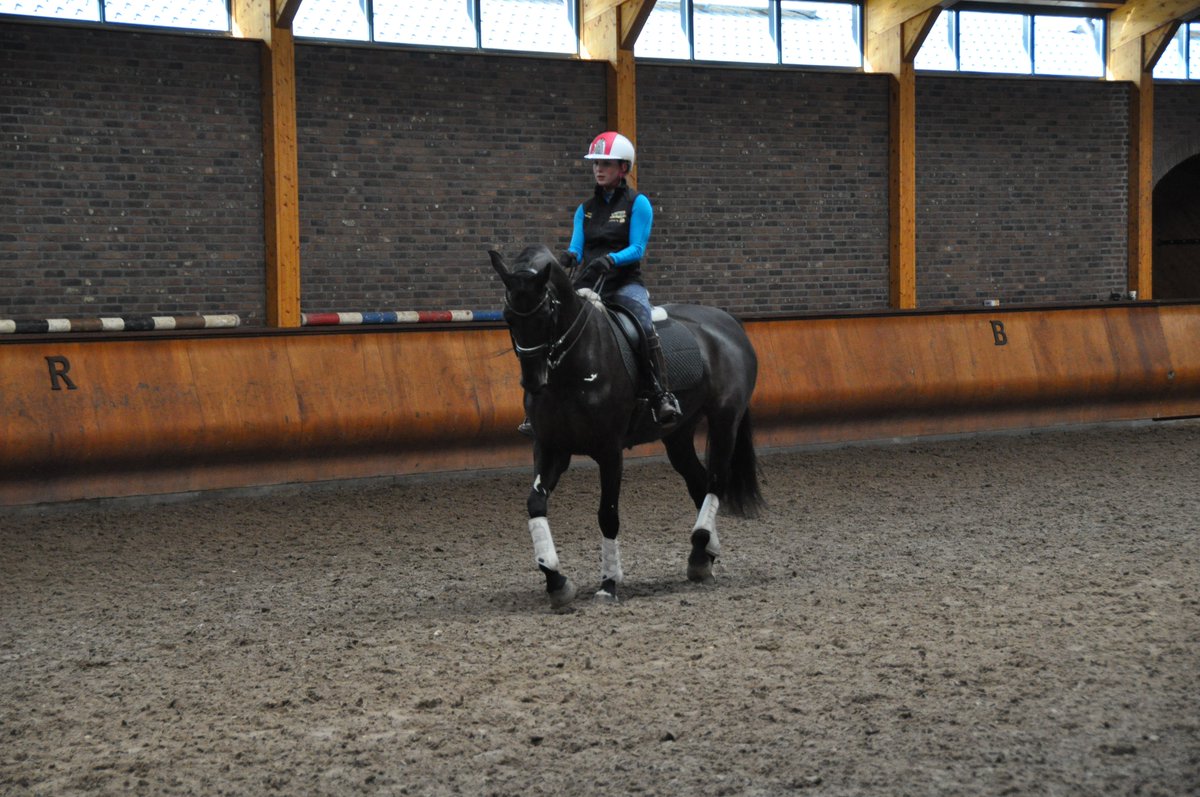 coachwiggins's tweet photo. @katewiggins98 thanks Evi @VLPvzw for the nice action shots during the training at @ankyvangrunsven #getinspired https://t.co/Y9NVcU5s4q