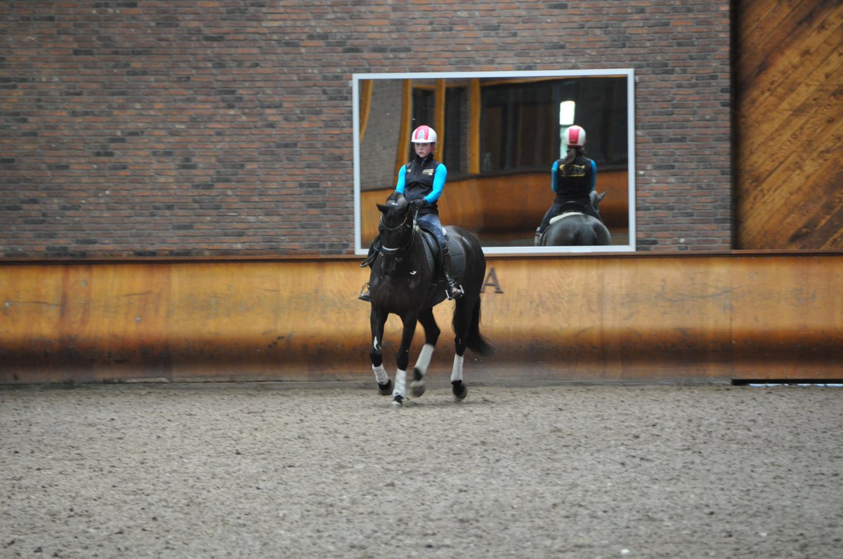 coachwiggins's tweet photo. @katewiggins98 thanks Evi @VLPvzw for the nice action shots during the training at @ankyvangrunsven #getinspired https://t.co/Y9NVcU5s4q
