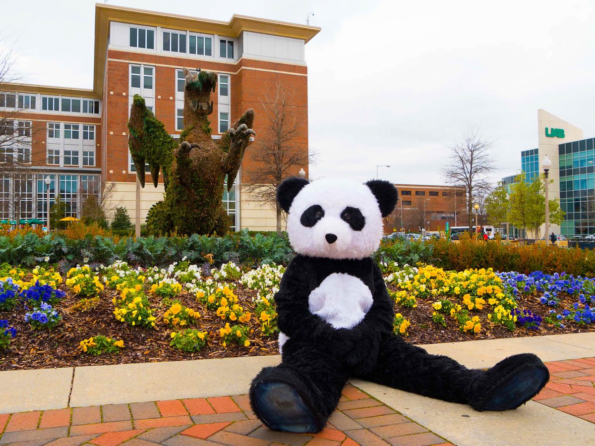 Meet me at the Green!
#GrowWithCanvas Events
March 30 &amp; 31, 2016
bit.ly/1o1rBR6