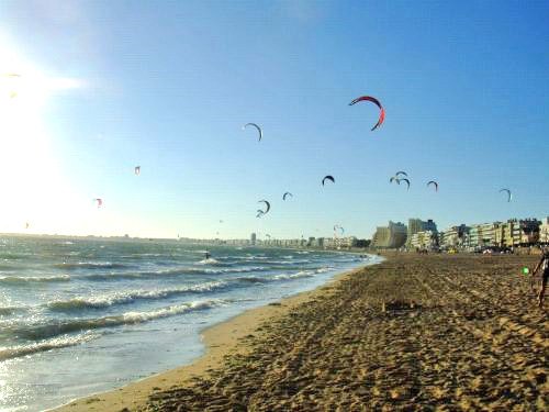 GlissEvolution's tweet photo. La saison de kitesurf est ouverte et les ailes ressortent !
https://t.co/musqJgpPLH
@labaulebeach https://t.co/8nBWfY0vdh