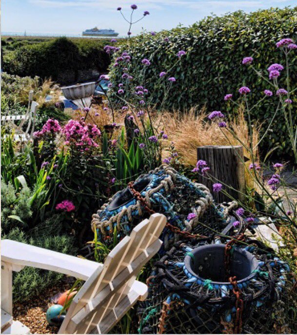 Macmillan Cancer Support confirmed today they have chosen this image of Driftwood to feature on their 2017 calendar!
