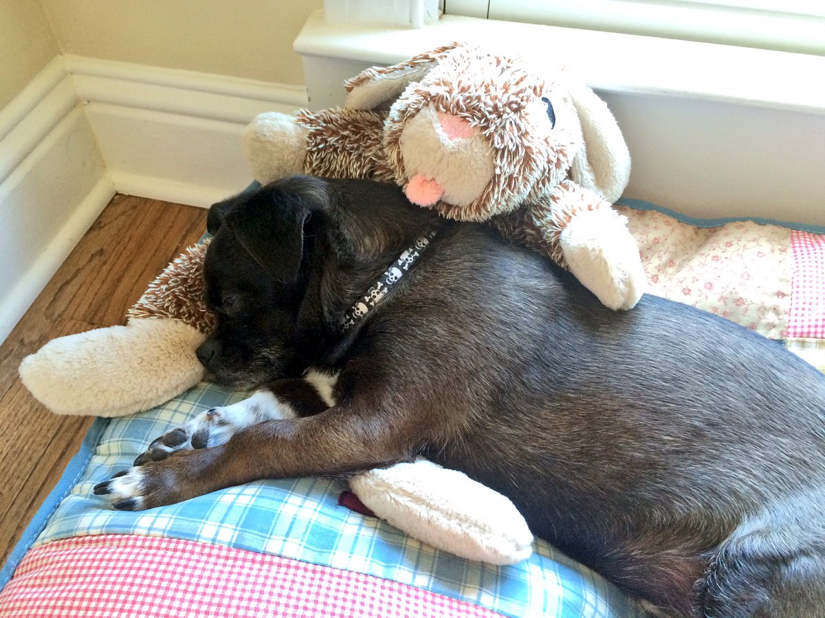 PugPrince tweet picture