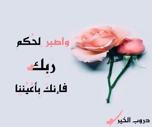 بدون اسم .... (@zerbc121) on Twitter photo 