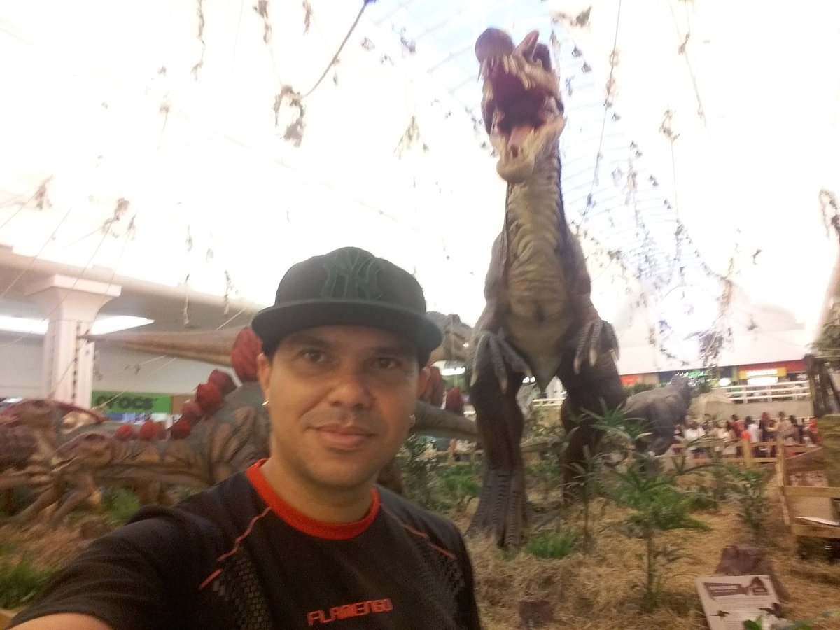 BeicoRodrigo's tweet photo. #parquedosdinossauro https://t.co/WF0Wf8THue