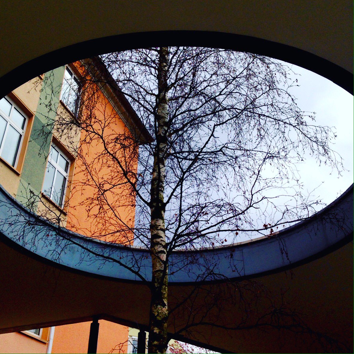 Cyberrena's tweet photo. Hole For Birches For Growing In The City #birch #tree #placefortrees https://t.co/W4yHbKme6X