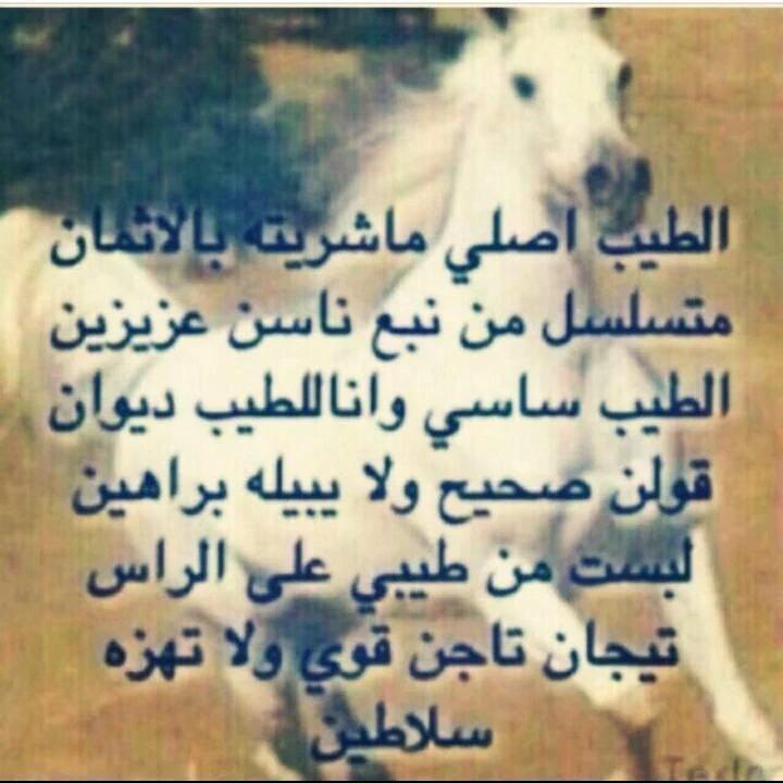 kasth1144's tweet photo. الطيب》اصلي》ماشريته》بالاثمان https://t.co/Jnvd1WBUZM