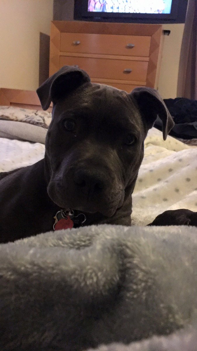 ChuyChain's tweet image. Nap time yet?