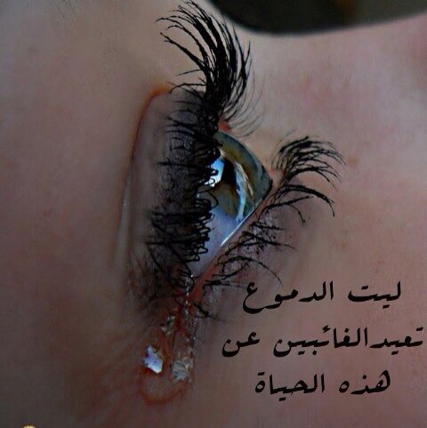 maiarmeme13's tweet photo. ياريت الدموع تعيدكل من حرق قلوبنابفراقه ياريت الدموع تعيدمن قتلني غيابهم ياريت تعيدمن كسرضهري رحيلهم https://t.co/SN9HavNSNa