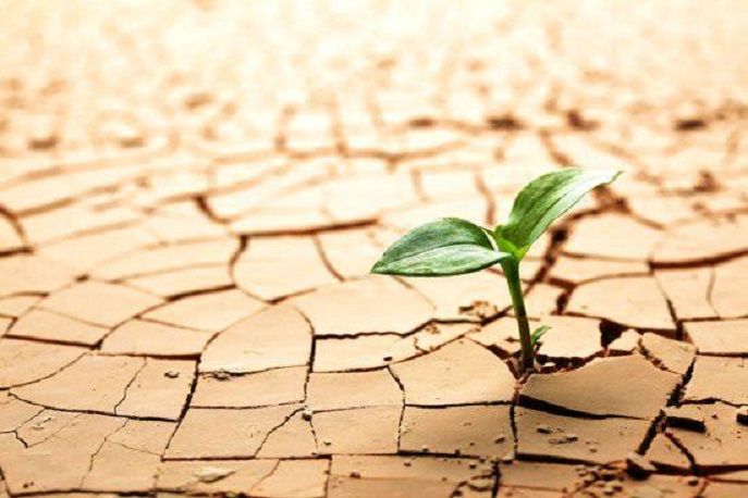 psicopedia's tweet photo. El hombre en busca de la Resiliencia #Psicopedia https://t.co/TgjYzoDg6O https://t.co/TREHoqy6hd