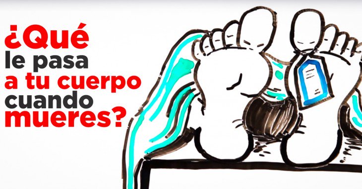 La Guia Del Varon tweet media