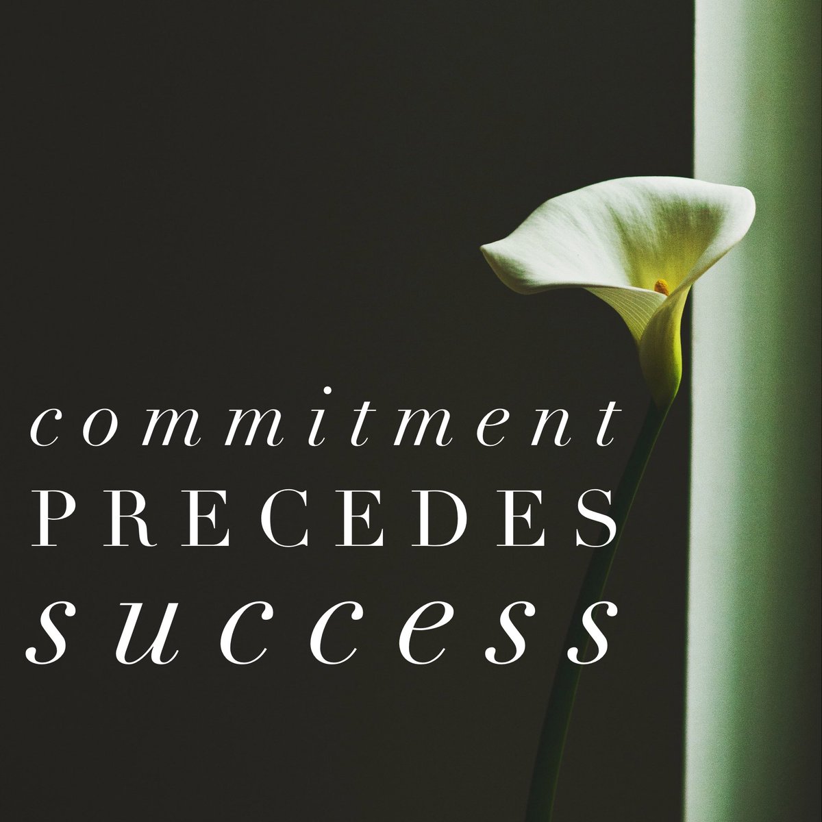 MaryRDittman's tweet photo. Have to commit first, THEN we see #success @CoachSeanSmith @2motivate #mtmpowerweek #powerweek2016 https://t.co/BdkLbsVPmB