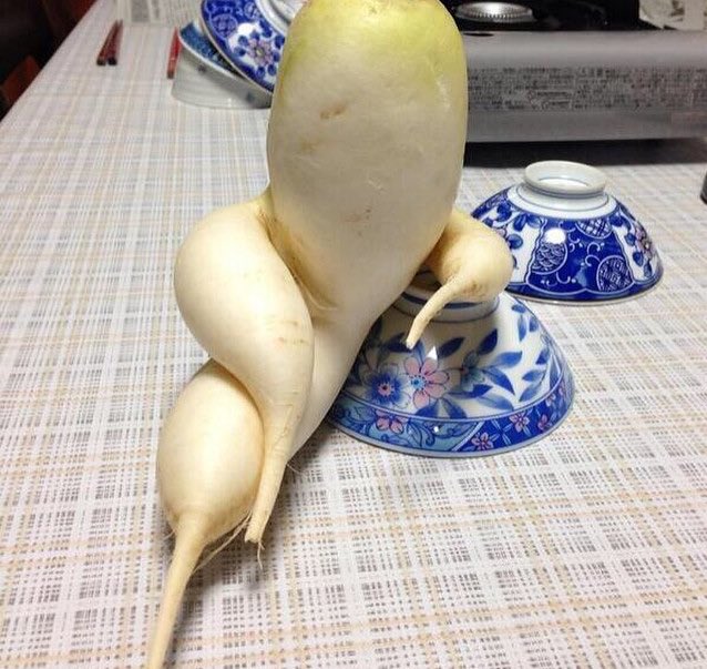 UglyFruitAndVeg's tweet photo. Okay, is "ugly" produce ready for the catwalk now? @vogue just did a piece: https://t.co/prc0zjAZ20 👏💃 #StrikeAPose👇 https://t.co/deODIgN8sO