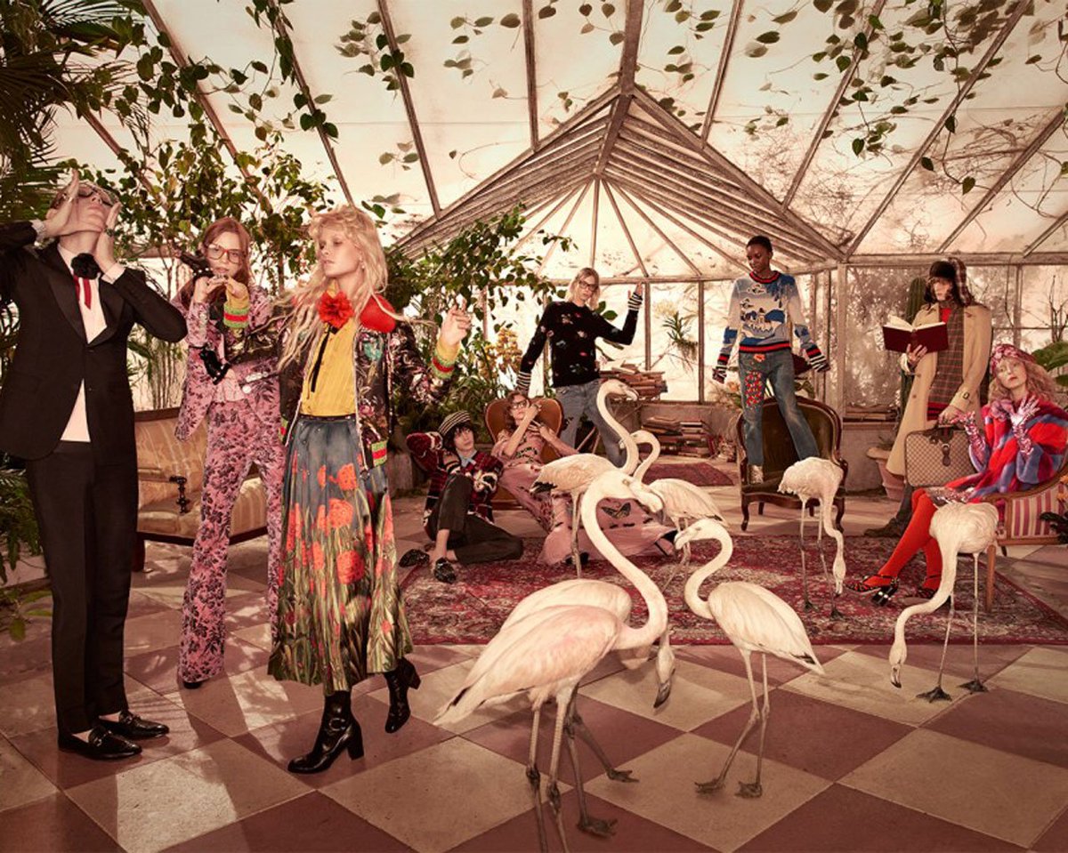vmagazine's tweet photo. #NiceAds: Flamingos roam in @gucci's new Pre-Fall ads https://t.co/LDSBHhpEym https://t.co/xqb8rcSspV