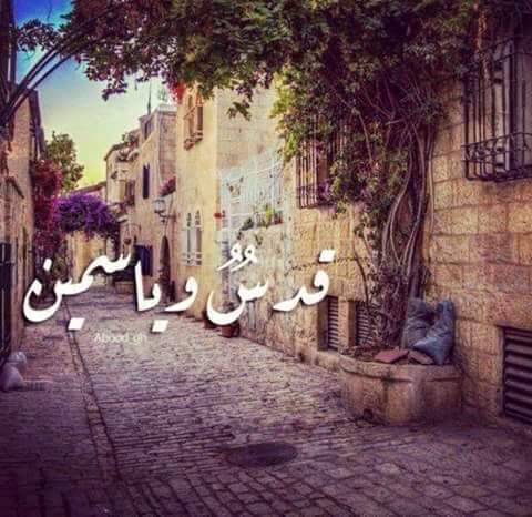1Oday11's tweet photo. #قدسنا -ياسمين https://t.co/SRp9q3vdmI