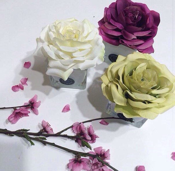 Duna_Boutique's tweet photo. Ароматизатор для воздуха Herve Gambs 🌸
В наличии в нашем бутике по адресу ул. Мира, 29 . https://t.co/FrihYDmvH4