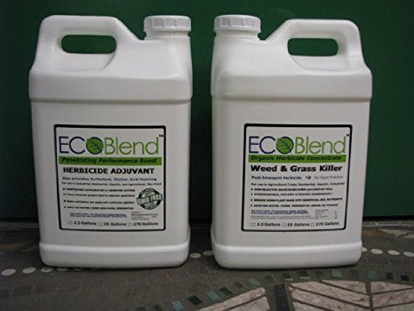 ecoblend_green's tweet image. Setting up #myfirstTweet! Check out #EcoBlend #ecosensitive weed and grass control: ecoblend.us/pestproducts.h…