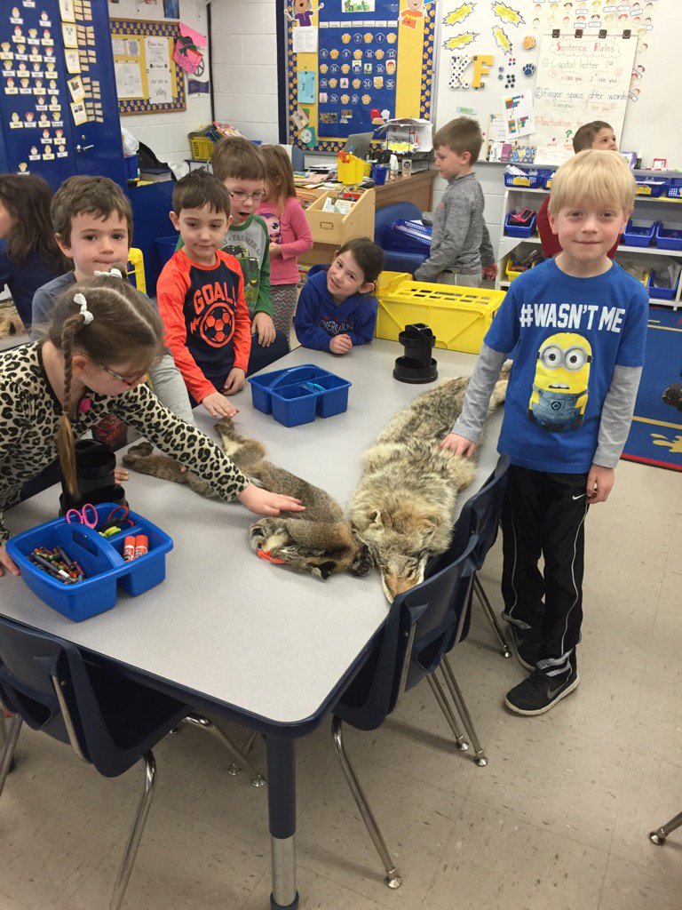 Mrs_KFisher's tweet photo. Learning about Iowa animals through exploring furs with BC Naturalists! #KFkinders #keyrocks #bentonscd https://t.co/CHrPSdqbpt