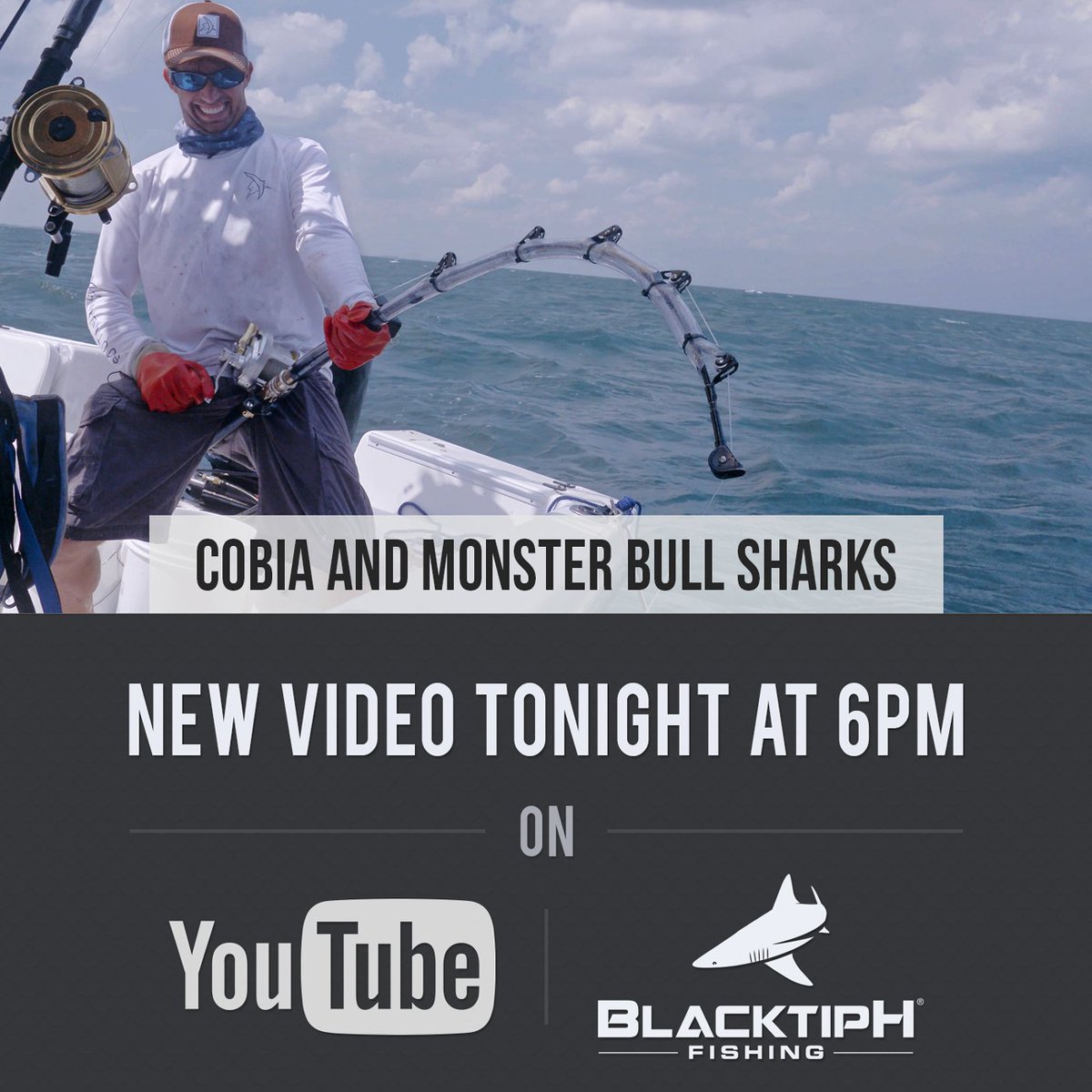 BlacktipH's tweet image. New episode tonight at 6pm EST! #blacktiph #fishing #cobia