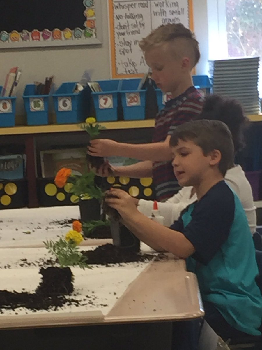 MtCarmelElem tweet picture