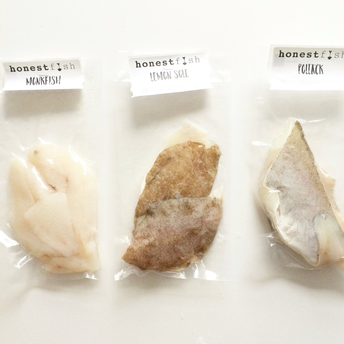 FishHonest tweet picture