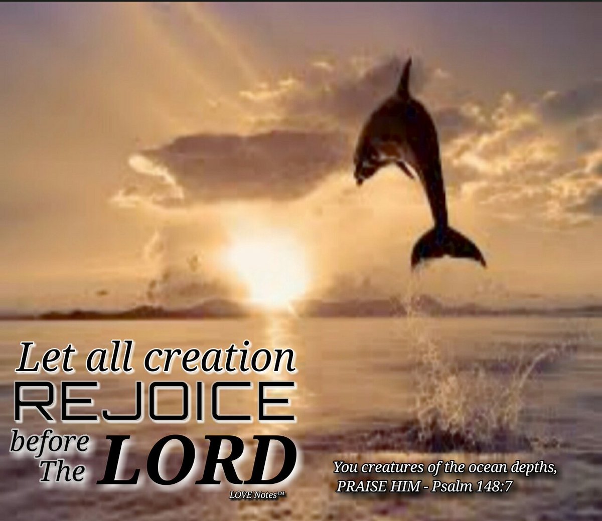MAndersonEddins's tweet photo. You #Creatures of the #Ocean #Depths, #PRAISEHIM! #LetAll #Creation #Rejoice #BeforeTheLORD #Honor #ELOHIM #Ps148_7 https://t.co/FwVf5yzS1K