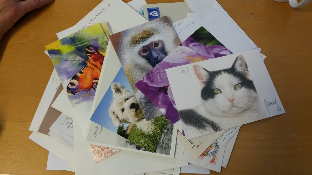 StichtingATA's tweet photo. Een grote stapel fanmail en een volle mailbox voor de puzzel en de lente-actie van de #ATADichtbij. #leukereacties https://t.co/uI7430A7uP