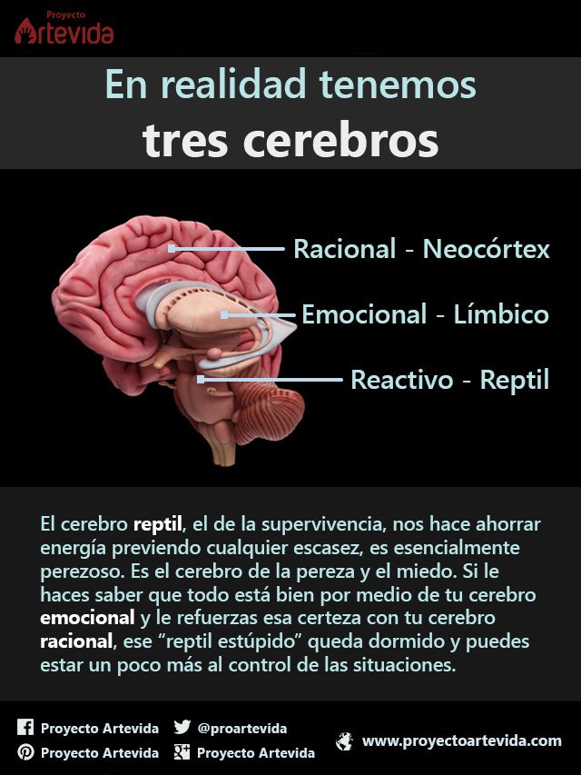 Proyecto Artevida tweet media