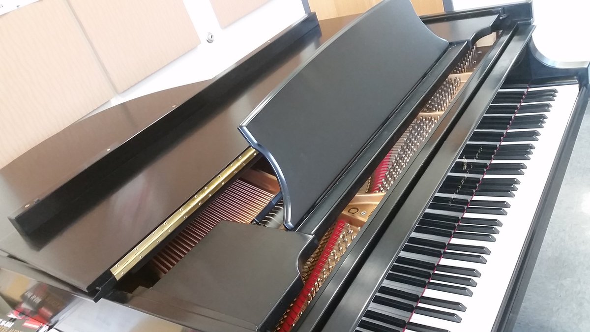 ChrisDHolloway's tweet photo. Shiny like a new penny. #steinway #voicestudio #USF #springcleaning https://t.co/AZoAmQzw9k
