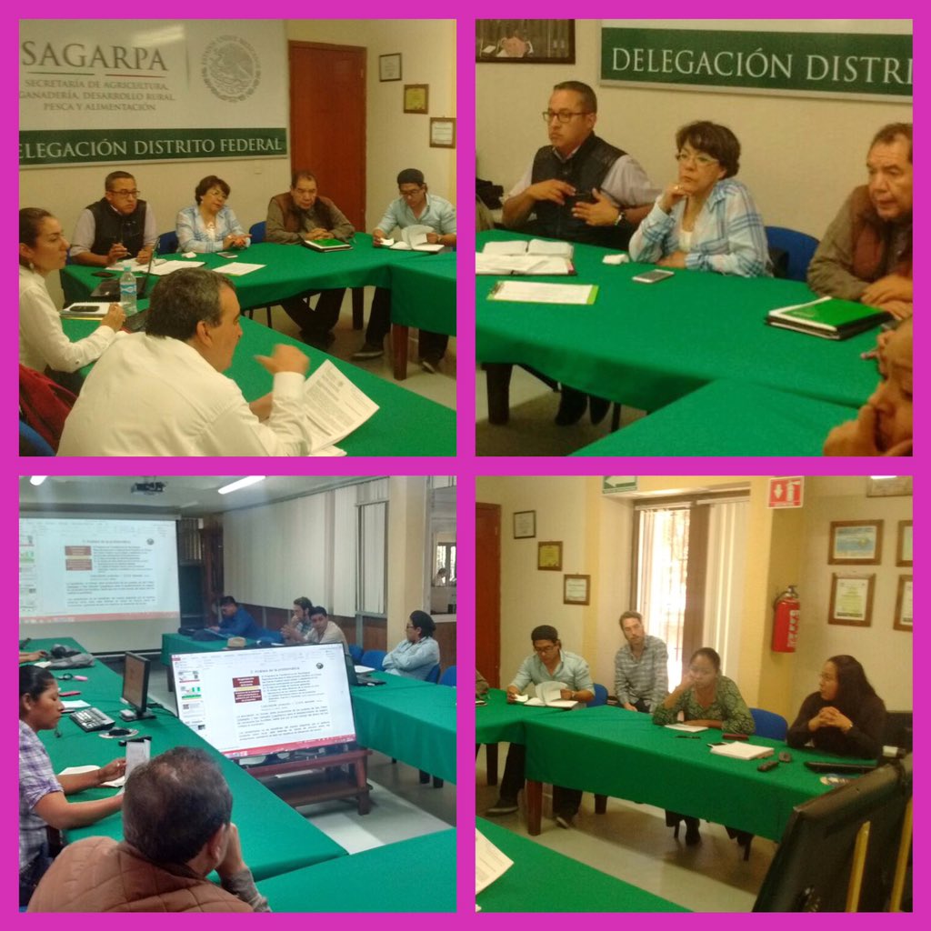 RocioBarcenaM's tweet photo. Grupo de trabajo Componente de Extensionismo Planeación Estrategia 2016 @SEDERECCDMX @SAGARPA_mx @rosaicela_CDMX https://t.co/UlU2Wn9dFB
