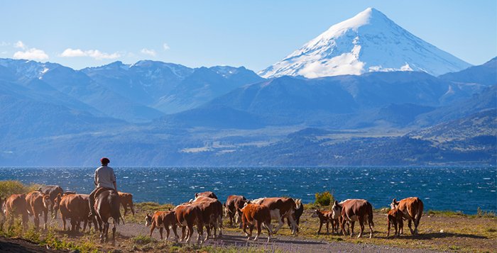 Alphonse_Mag's tweet photo. ✎ Les 8 spots incontournables en Argentine (1/2) ►https://t.co/3JVgps4wqT    
#argentine #voyage #sun #amérique https://t.co/FelpLjx2xw