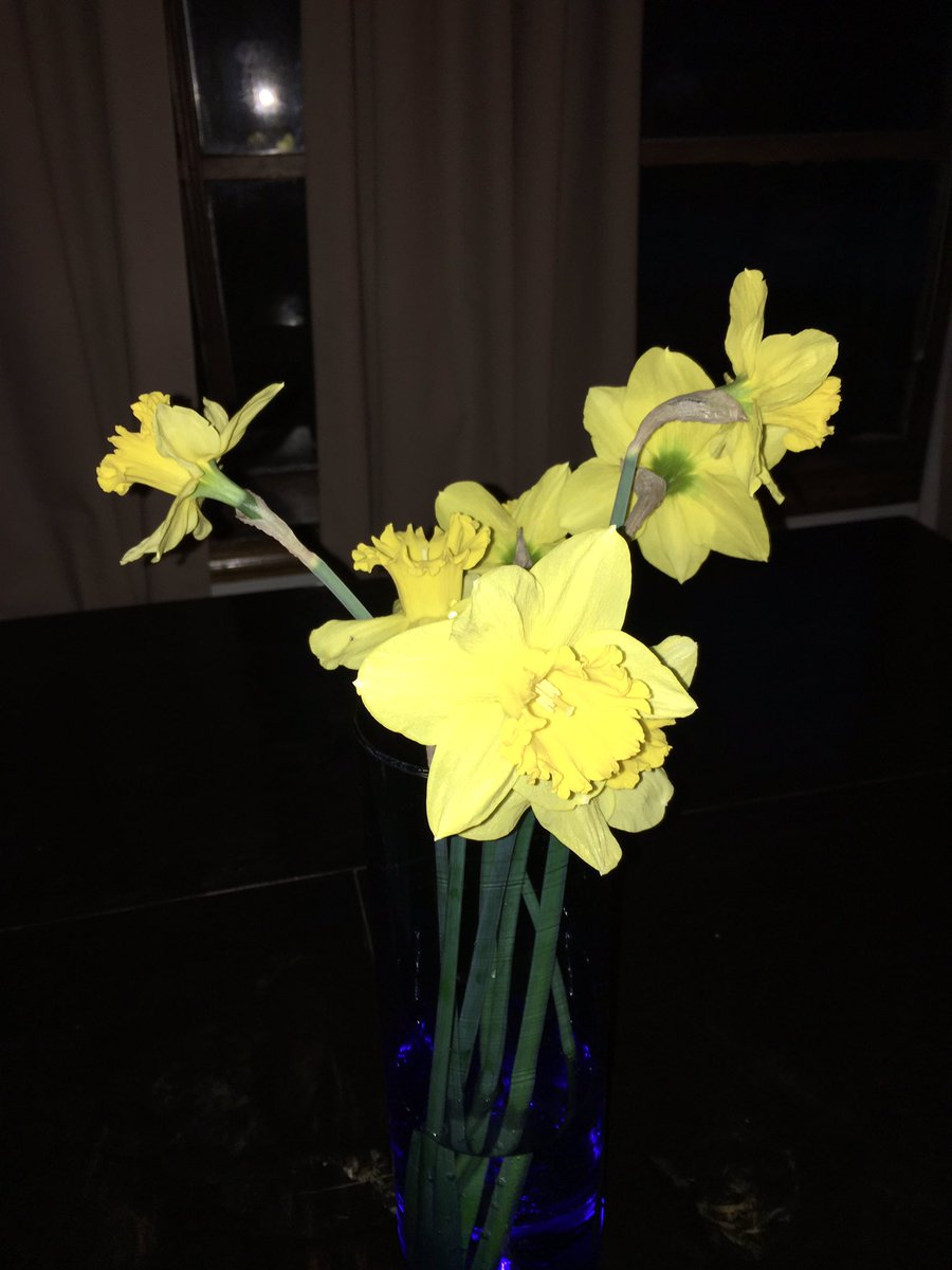 Nopenopenoping1's tweet image. #springishere