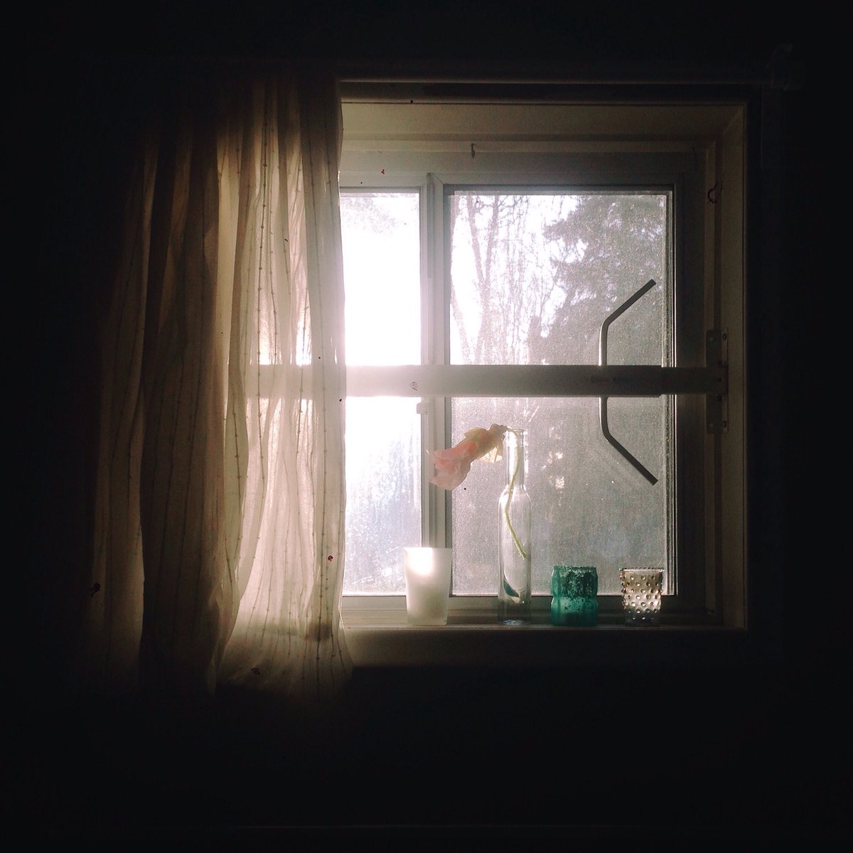 When morning light is your favourite light. #chasinglight